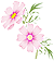 �R�X���X�|�R
