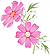 �R�X���X